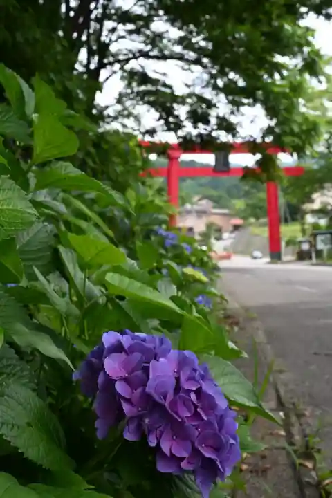 高龍神社(新潟県)