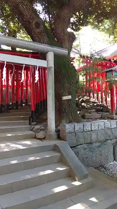 乃木神社(東京都)