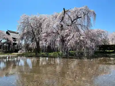 安養寺(長野県)