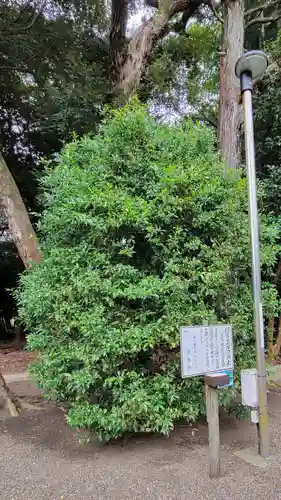息栖神社の自然