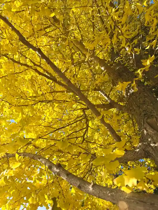 伊達神社(北海道)