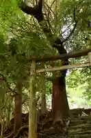 天岩戸別神社(徳島県)