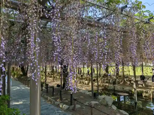 津島神社(愛知県)