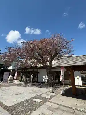 白老八幡神社の{uncategorized: "未分類", other: "その他", undefined: "問題あり", building: "その他建物", grave: "お墓", sacred_gate: "鳥居", guardian: "狛犬", statue: "像", buddha: "仏像", history: "歴史", nature: "自然", garden: "庭園", animal: "動物", pagoda: "塔", temizu: "手水舎", mountain_gate: "山門・神門", sanctuary: "本殿・本堂", subordinate: "末社・摂社", art: "芸術", scenery: "景色", jizo: "地蔵", ema: "絵馬", goshuin: "御朱印", omikuji: "おみくじ", items: "授与品その他", amulet: "お守り", goshuincho: "御朱印帳", eats: "食事", festival: "お祭り", votive_dance: "神楽", shichigosan: "七五三参", wedding: "結婚式", experience: "体験その他", initially: "初詣", around: "周辺", anti_infection: "感染症対策"}