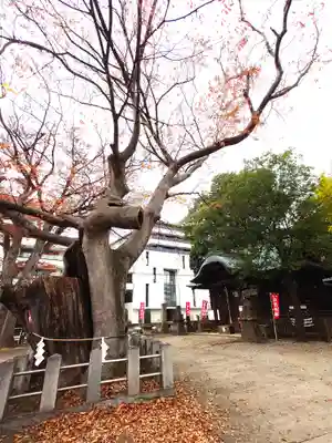 阿邪訶根神社(福島県)