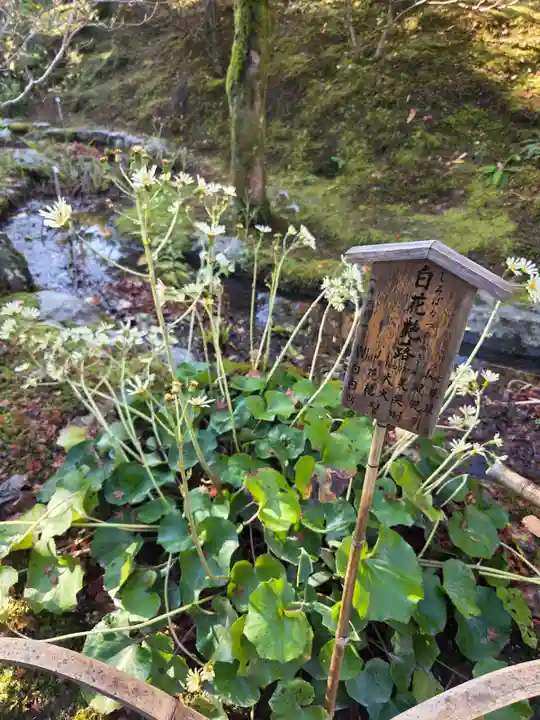 天龍寺(京都府)