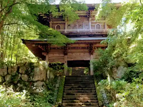 泰寧寺の山門