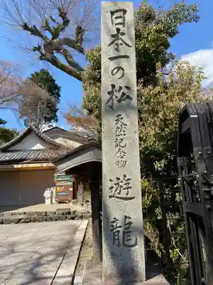 善峯寺のその他建物