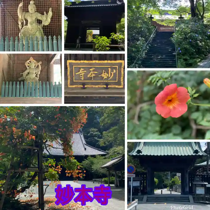 妙本寺(神奈川県)