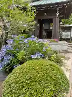 海蔵寺のその他建物
