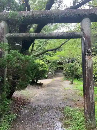 愛宕神社の鳥居