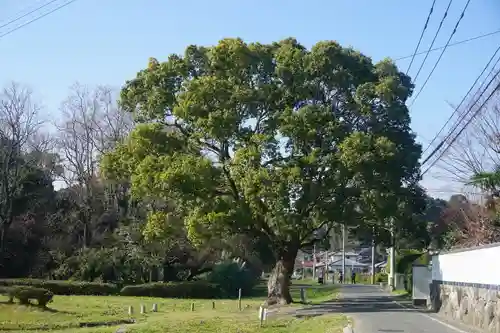 日吉神社の自然
