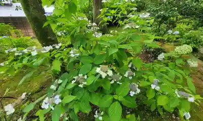 惣河内神社(愛媛県)
