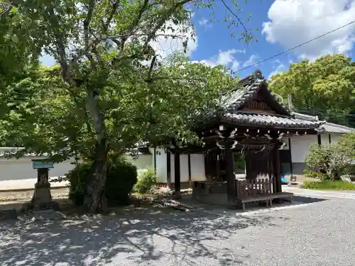 廬山寺（廬山天台講寺）の{uncategorized: "未分類", other: "その他", undefined: "問題あり", building: "その他建物", grave: "お墓", sacred_gate: "鳥居", guardian: "狛犬", statue: "像", buddha: "仏像", history: "歴史", nature: "自然", garden: "庭園", animal: "動物", pagoda: "塔", temizu: "手水舎", mountain_gate: "山門・神門", sanctuary: "本殿・本堂", subordinate: "末社・摂社", art: "芸術", scenery: "景色", jizo: "地蔵", ema: "絵馬", goshuin: "御朱印", omikuji: "おみくじ", items: "授与品その他", amulet: "お守り", goshuincho: "御朱印帳", eats: "食事", festival: "お祭り", votive_dance: "神楽", shichigosan: "七五三参", wedding: "結婚式", experience: "体験その他", initially: "初詣", around: "周辺", anti_infection: "感染症対策"}