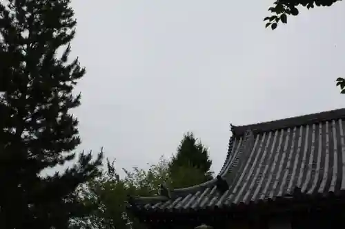  智積院(京都府)