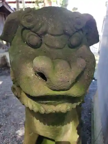 菟橋神社の狛犬