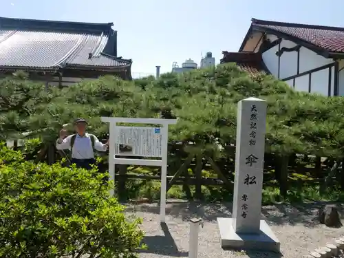 専念寺の建物その他