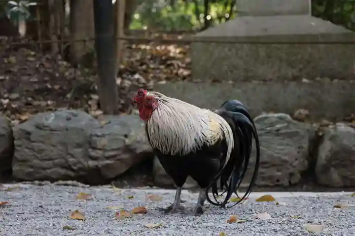 熱田神宮(愛知県)