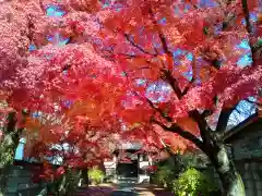 正樂寺(宮城県)