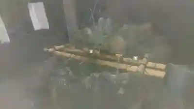迫間不動尊の手水舎