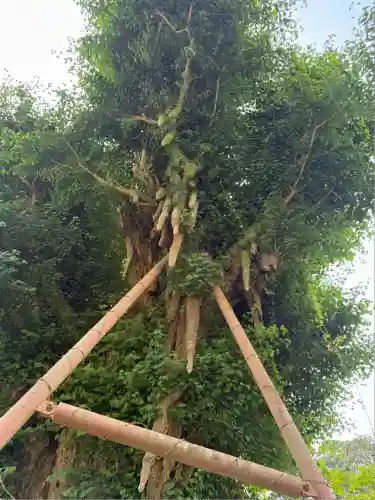 富士山興法寺 大日堂(静岡県)