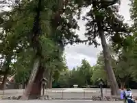 伊勢神宮外宮(豊受大神宮)(三重県)