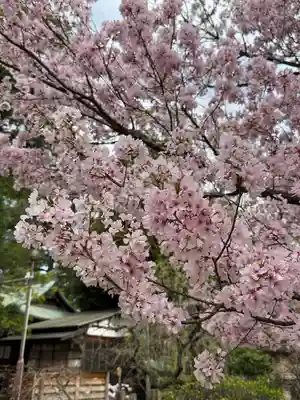 八雲氷川神社(東京都)