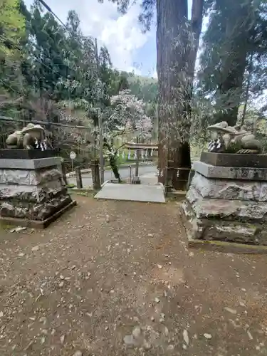 姥宮神社の狛犬