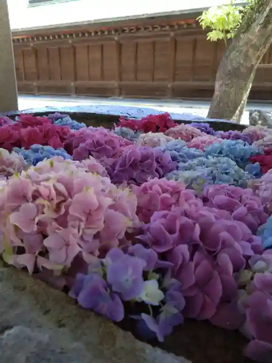 筥崎宮(福岡県)