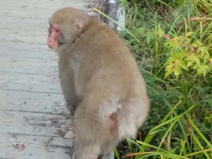 穂高神社奥宮(長野県)