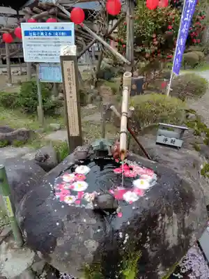 月蔵院(山形県)