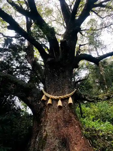 蛭児神社の自然