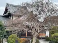 行住院(京都府)