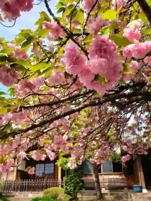境妙寺(東京都)