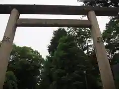 根津神社の鳥居