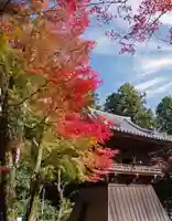 圓教寺(兵庫県)
