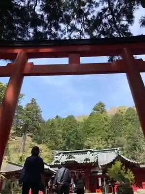 箱根神社(神奈川県)