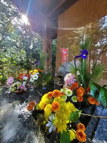 滑川神社 - 仕事と子どもの守り神の手水