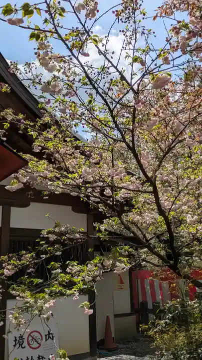 平野神社(京都府)