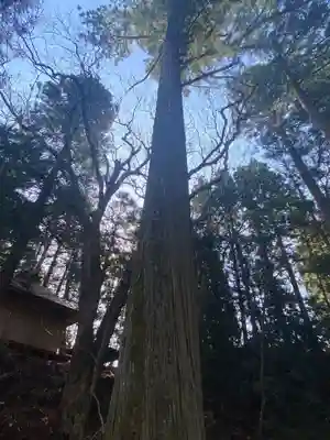 潮山神社の自然