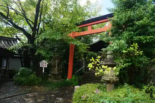 漢國神社の鳥居