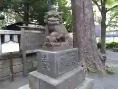 亀岡八幡宮（亀岡八幡神社）の狛犬