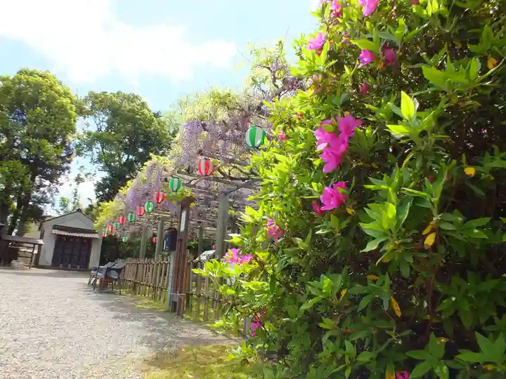 惣社神社の自然