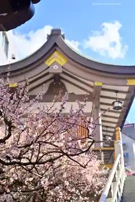 湯島天満宮(東京都)