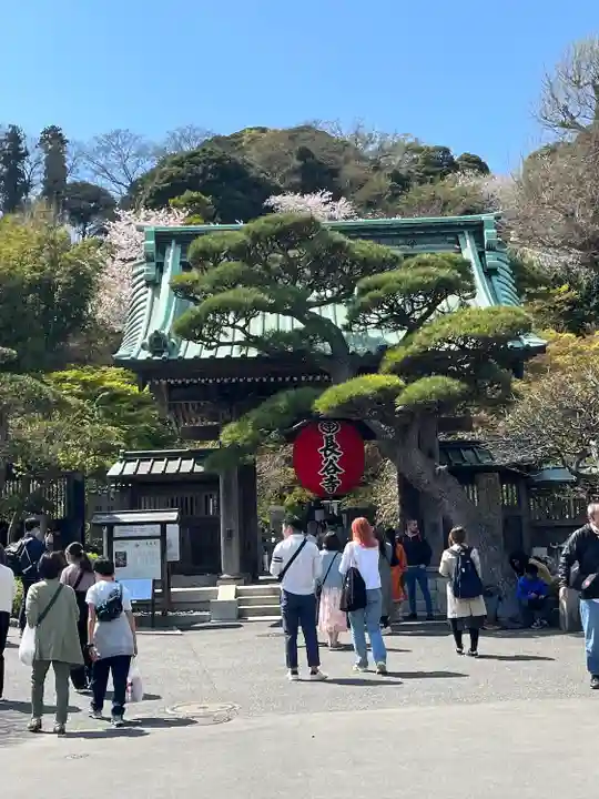 長谷寺の山門・神門