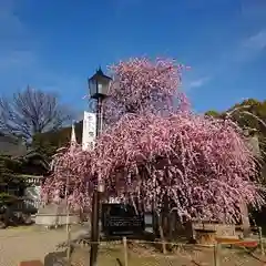 岡崎天満宮の自然