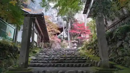 橋立堂(埼玉県)