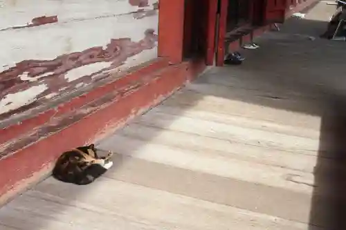 甲斐善光寺(山梨県)