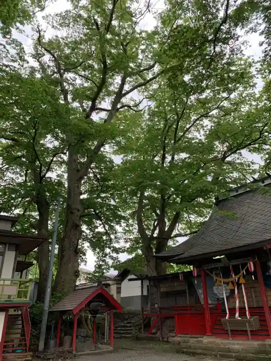 八坂神社のその他建物
