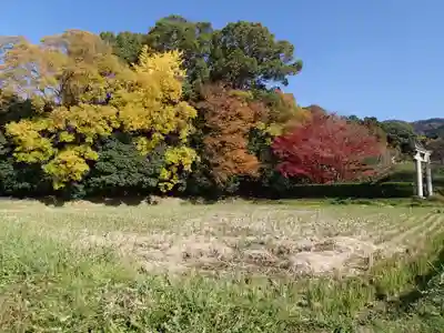 夜都伎神社の周辺